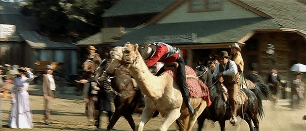 昼下りの決斗：駱駝のレース